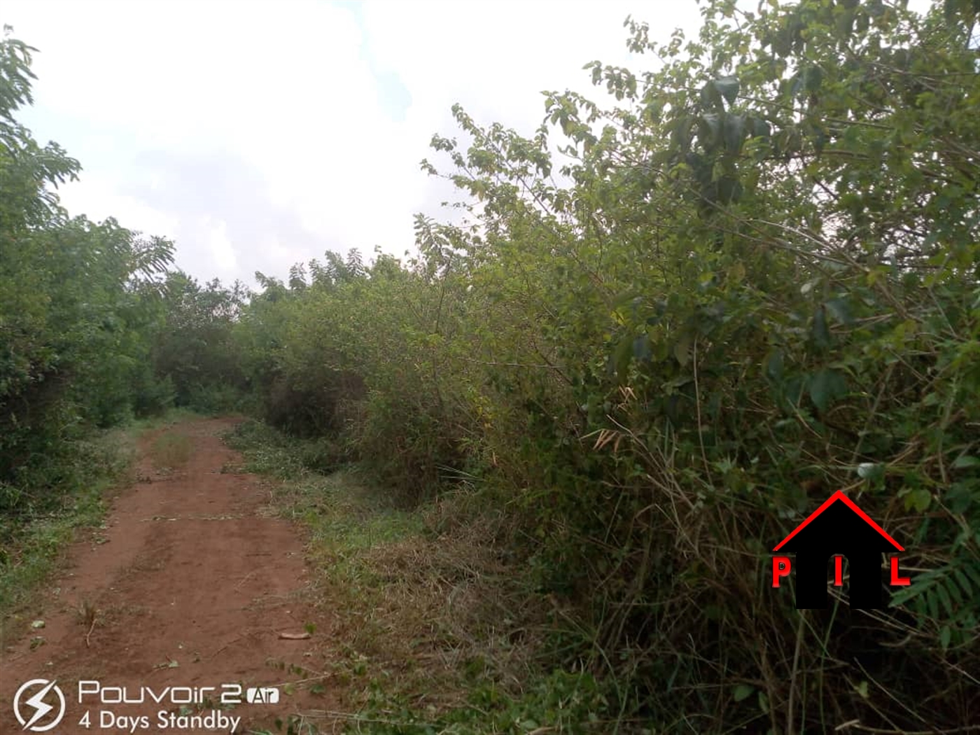 Agricultural Land for sale in Ziloobwe Luweero