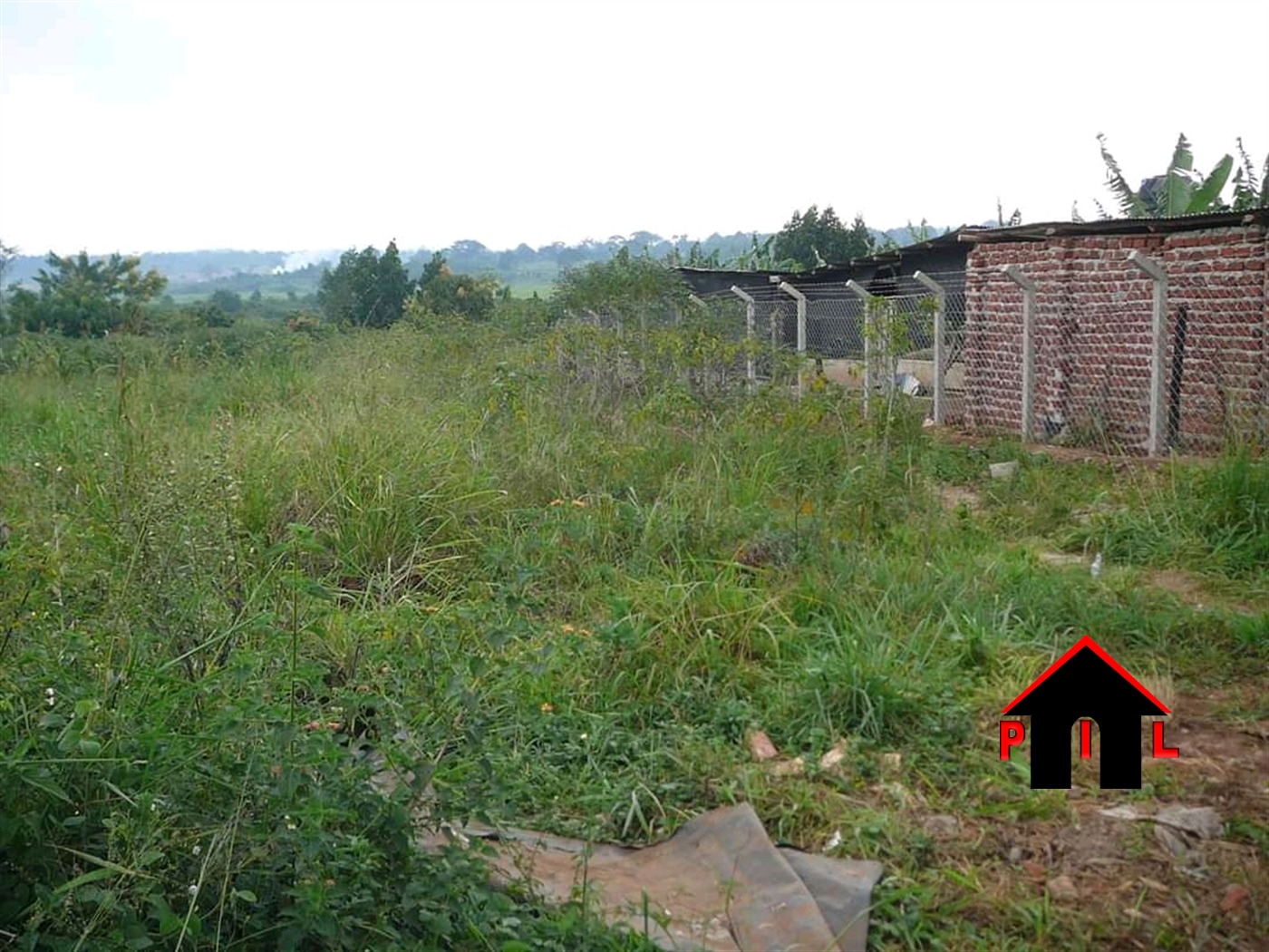 Agricultural Land for sale in Kassanda Mityana