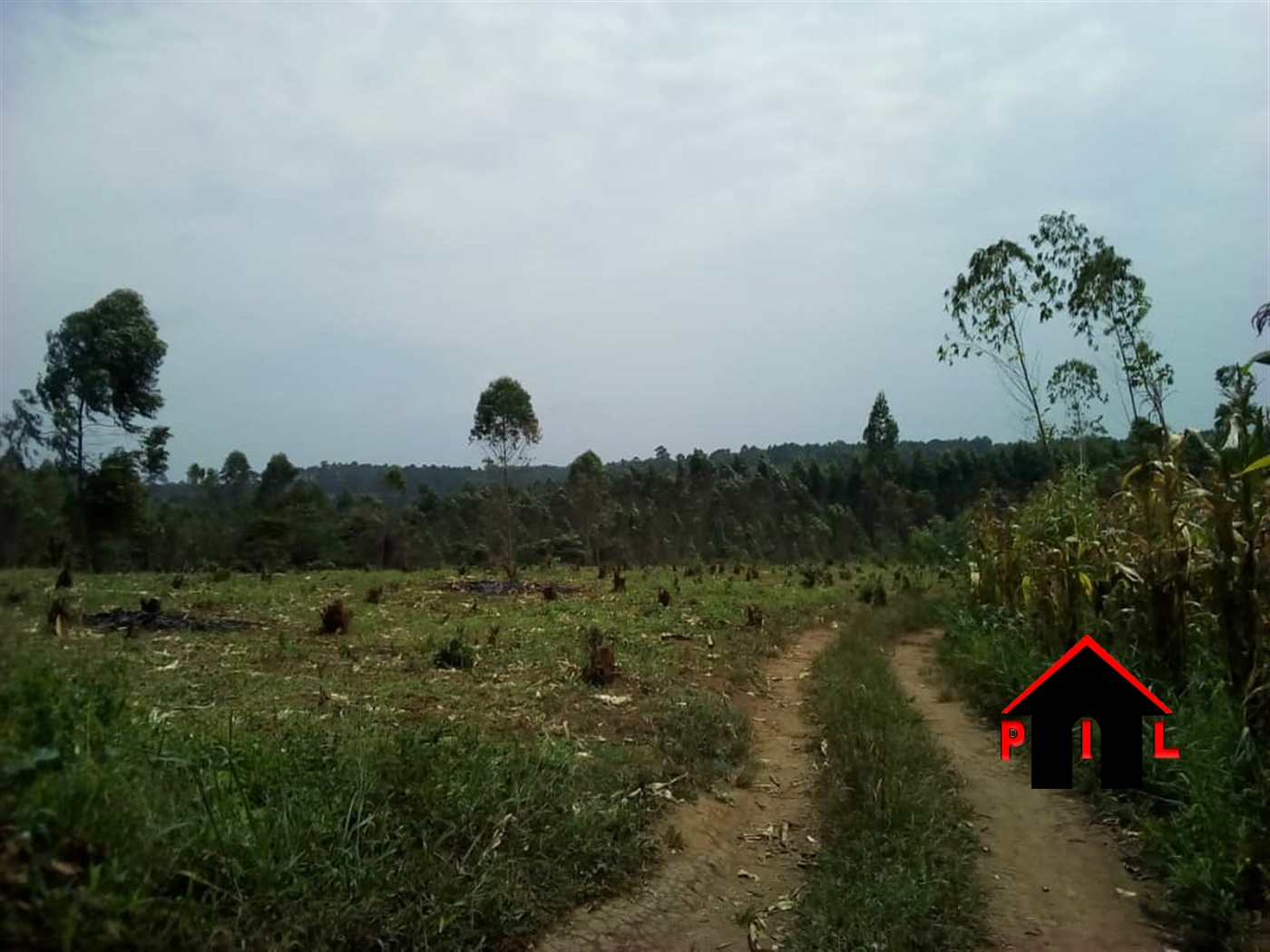 Agricultural Land for sale in Buddugala Wakiso