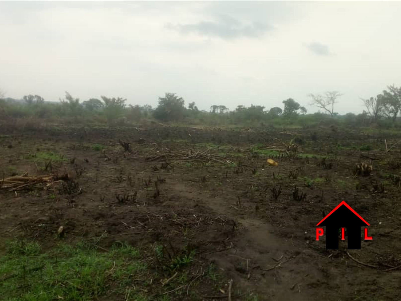 Agricultural Land for sale in Kikyuusa Luweero