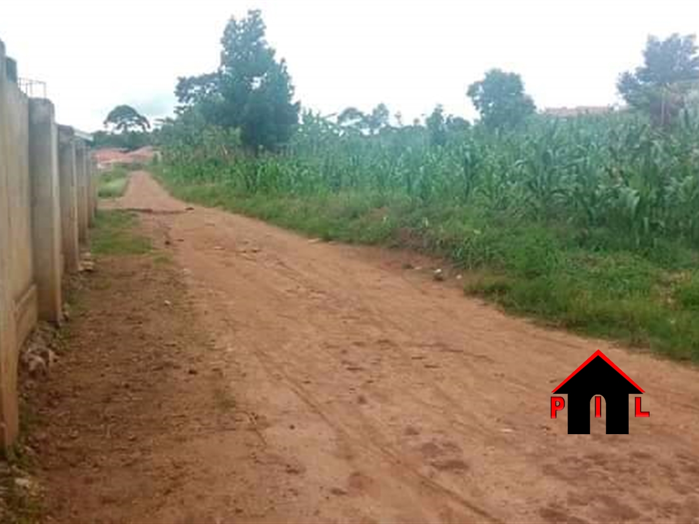 Agricultural Land for sale in Kikyuusa Luweero