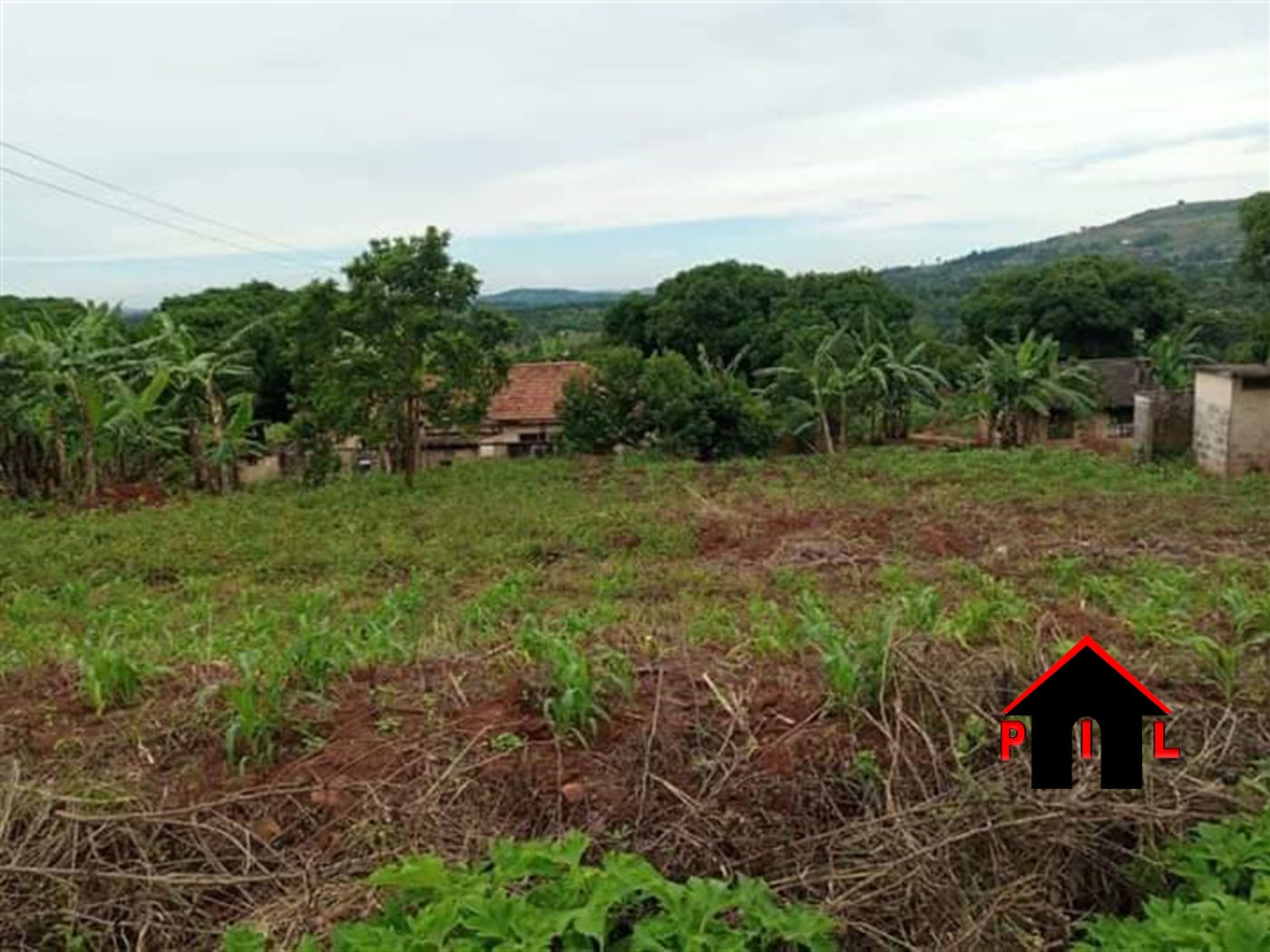 Agricultural Land for sale in Kikyuusa Luweero