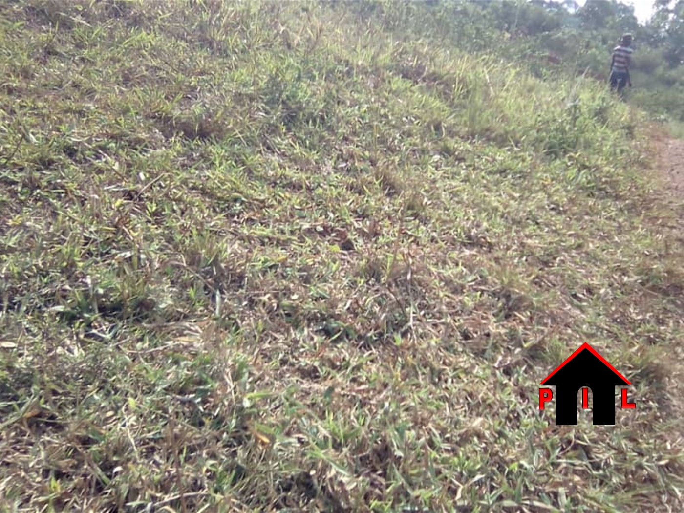 Residential Land for sale in Kigoogwa Kampala