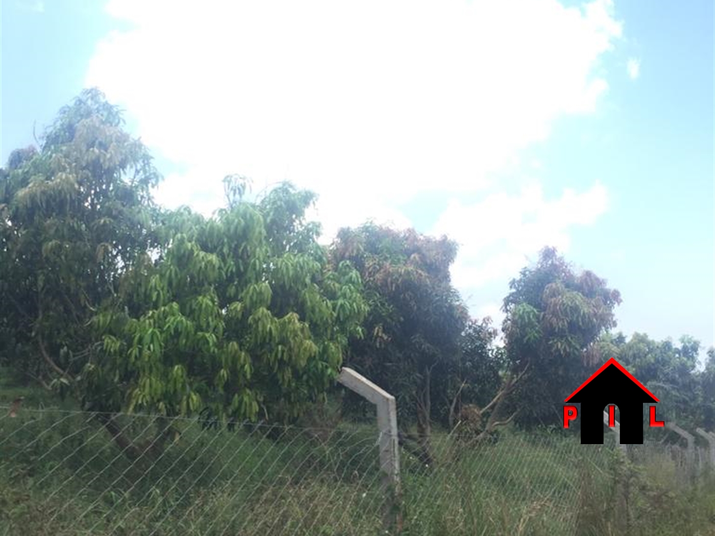 Agricultural Land for sale in Gongoro Wakiso