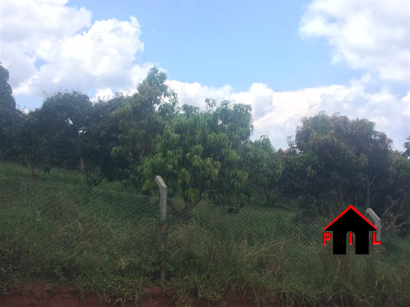 Agricultural Land for sale in Gongoro Wakiso