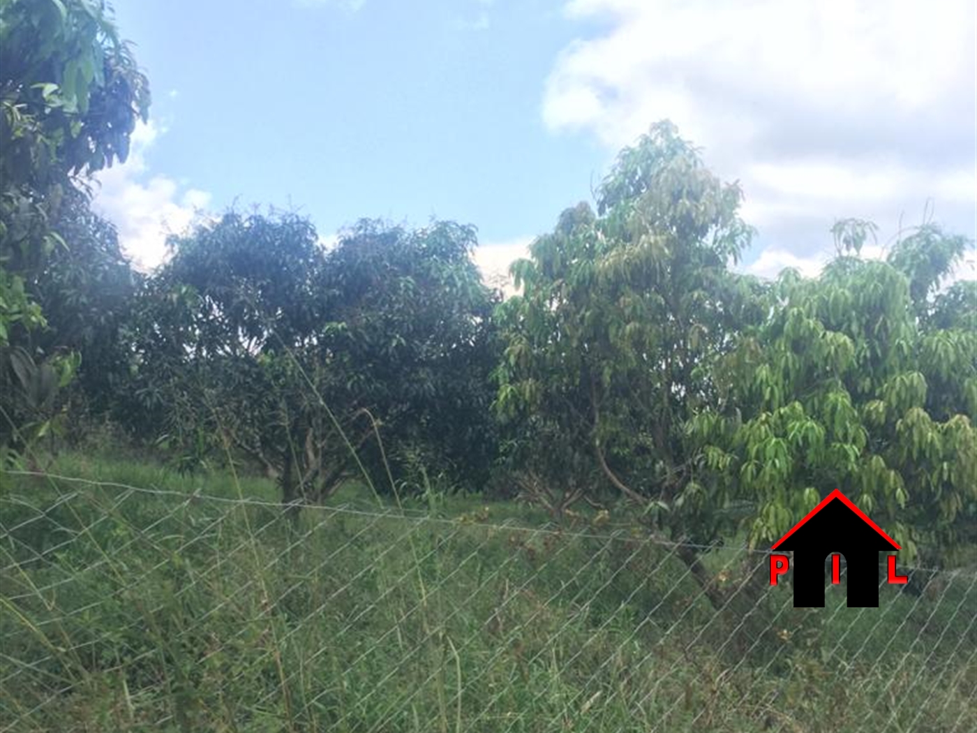 Agricultural Land for sale in Gongoro Wakiso