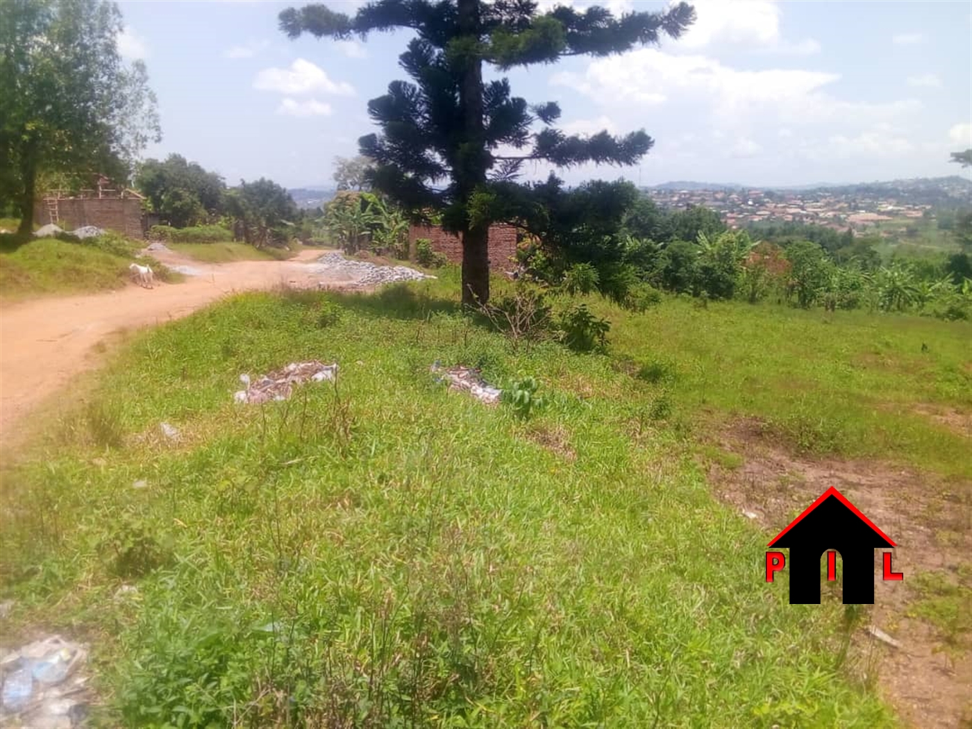 Residential Land for sale in Namubiru Mukono