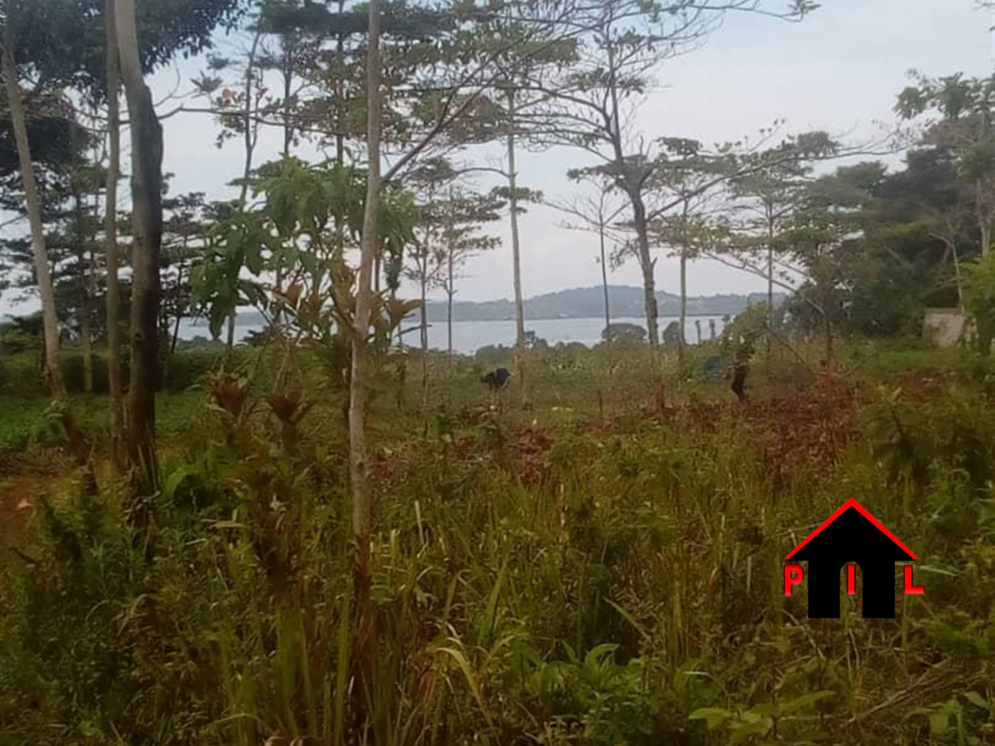 Agricultural Land for sale in Bukasa Wakiso