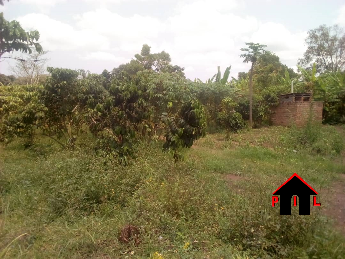 Land for sale in Wobulenzi Luweero Uganda, code 70642, 03/10/2024