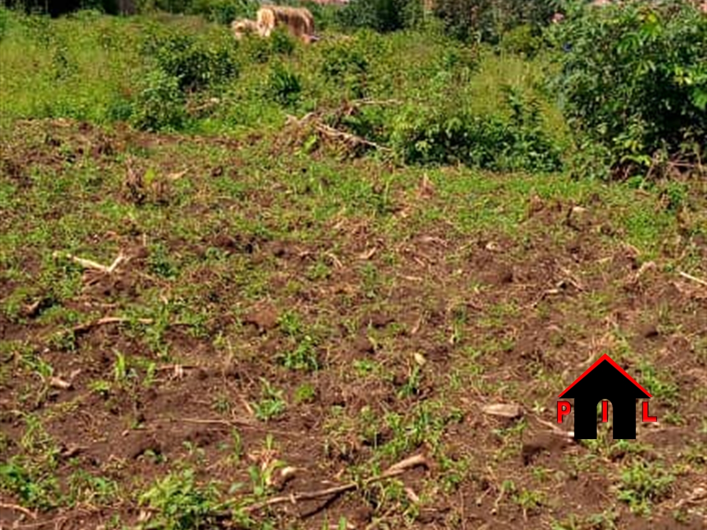 Residential Land for sale in Kungu Wakiso