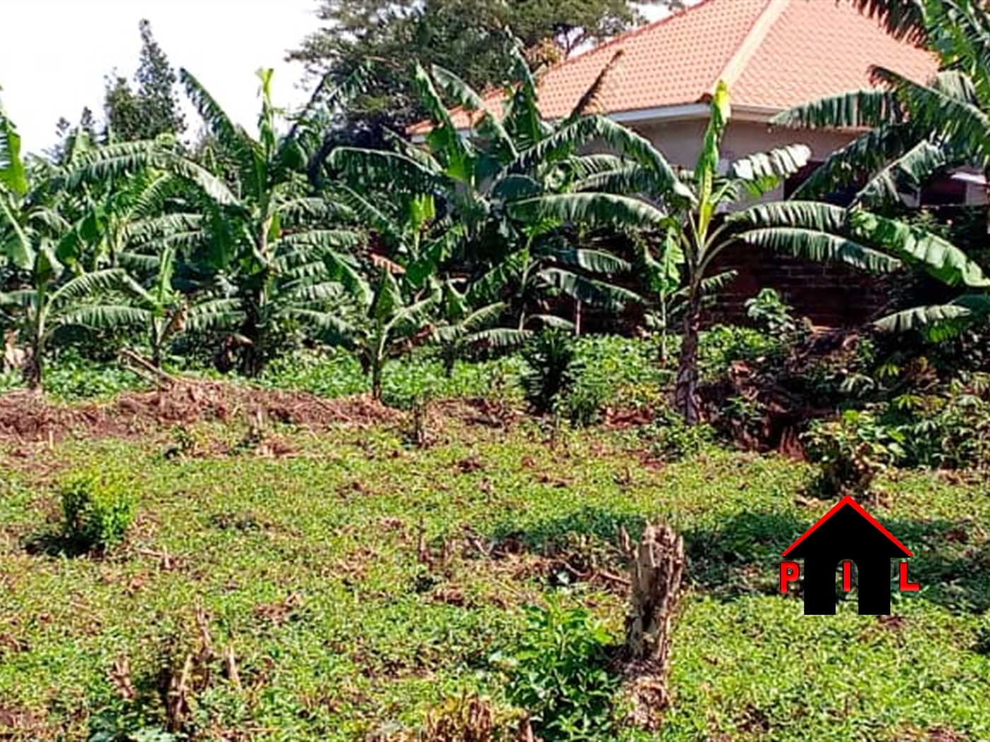 Residential Land for sale in Kungu Wakiso