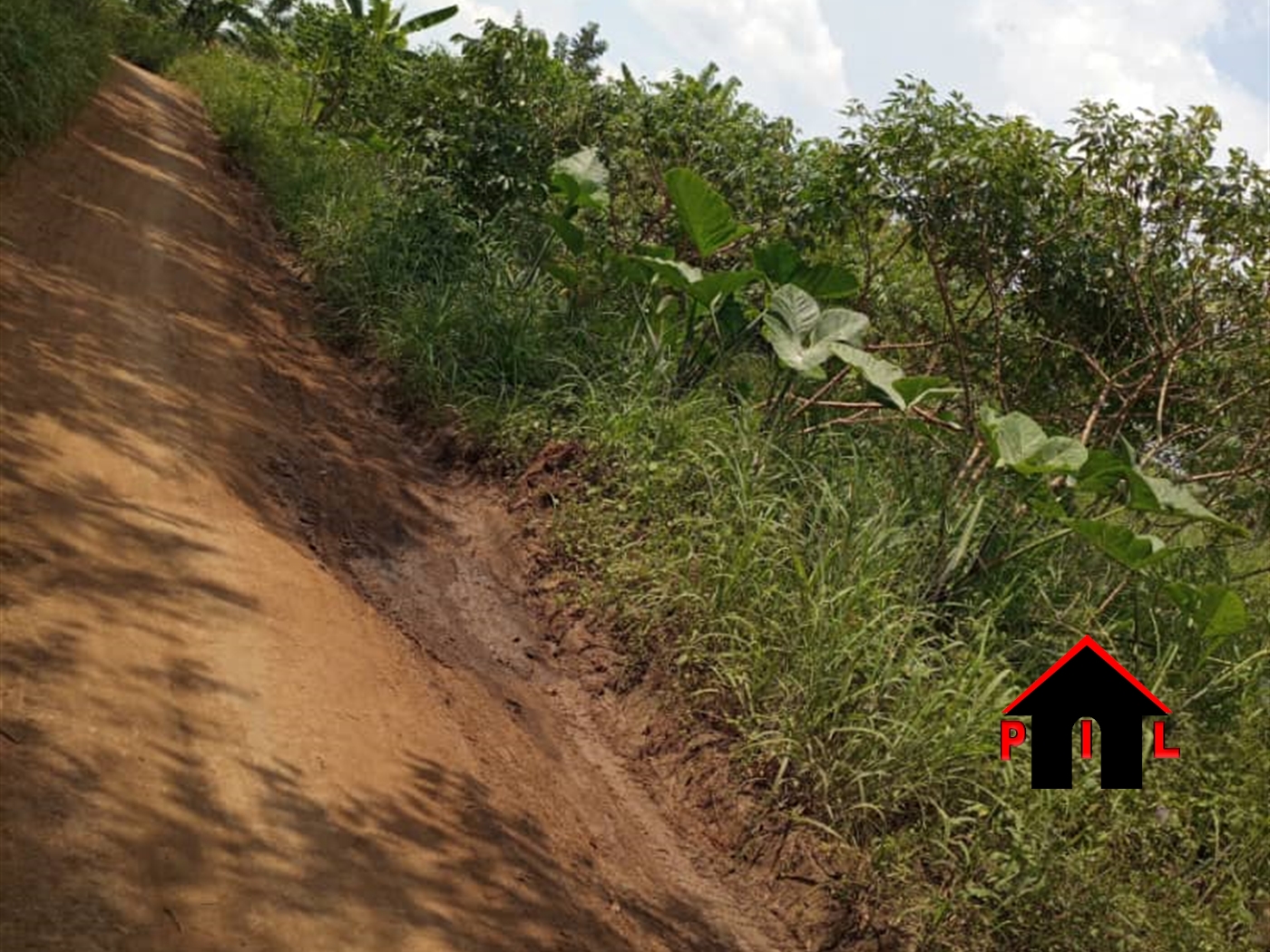 Agricultural Land for sale in Kapeeka Nakaseke