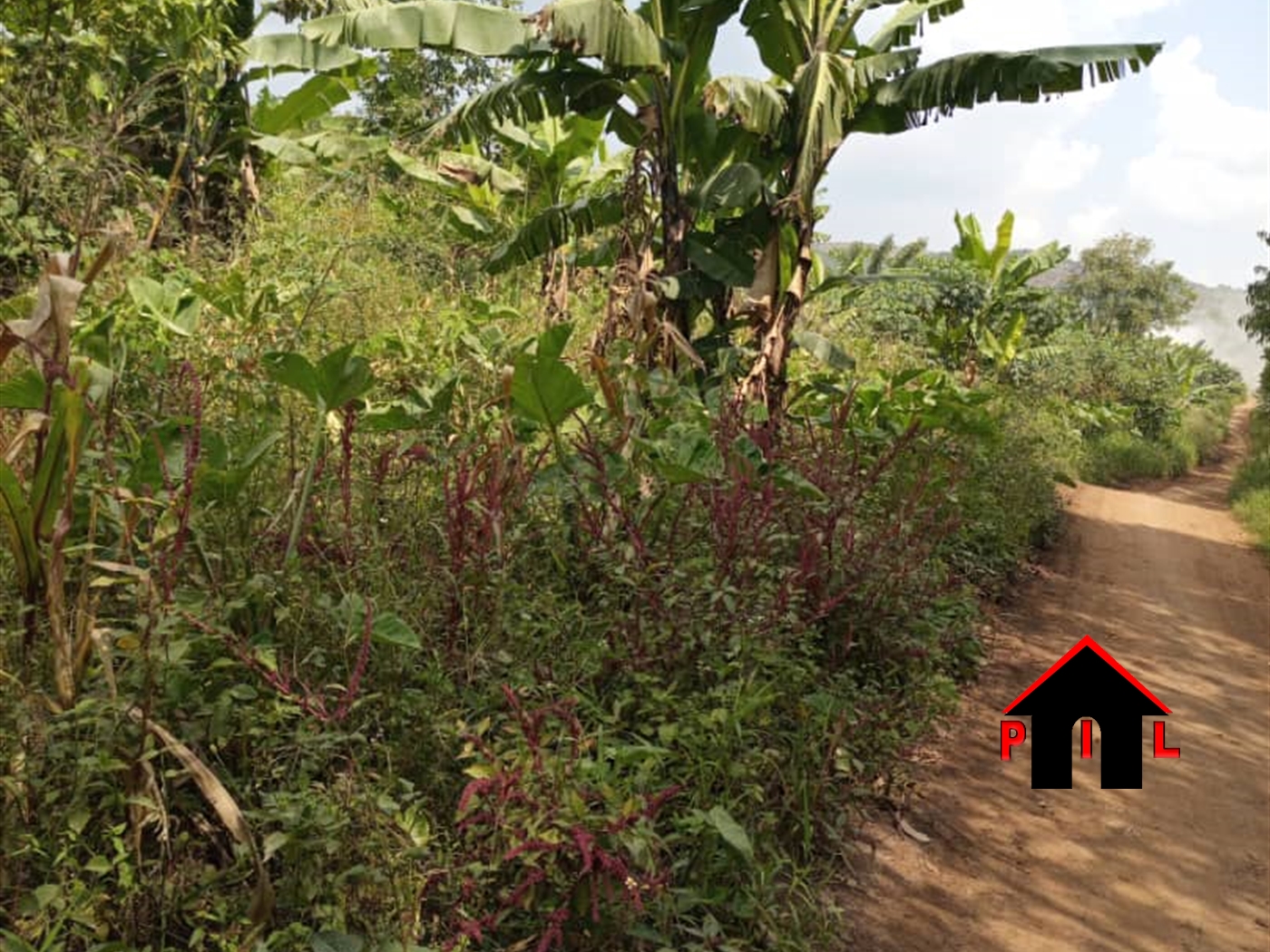 Agricultural Land for sale in Kapeeka Nakaseke