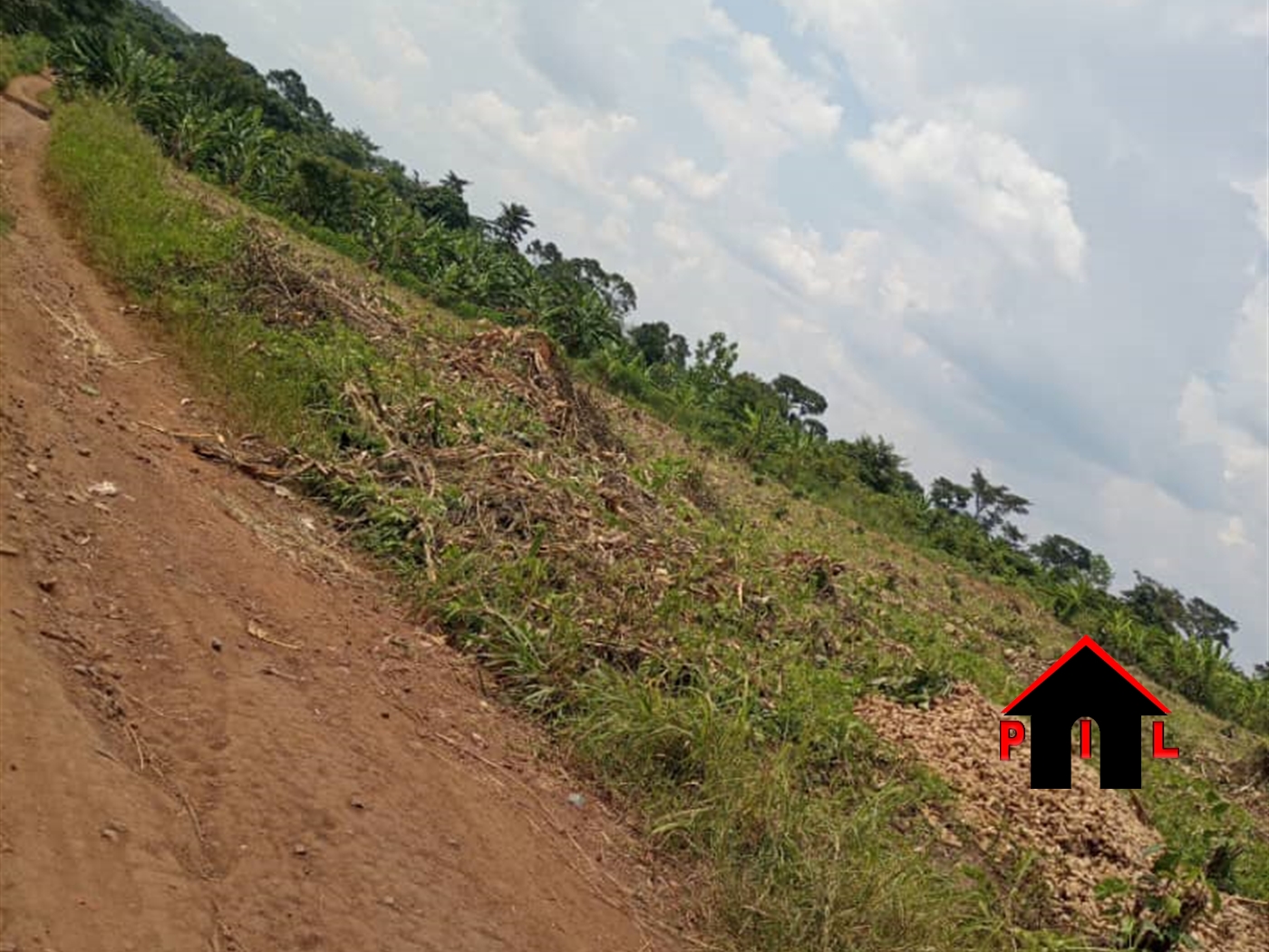 Agricultural Land for sale in Kapeeka Nakaseke