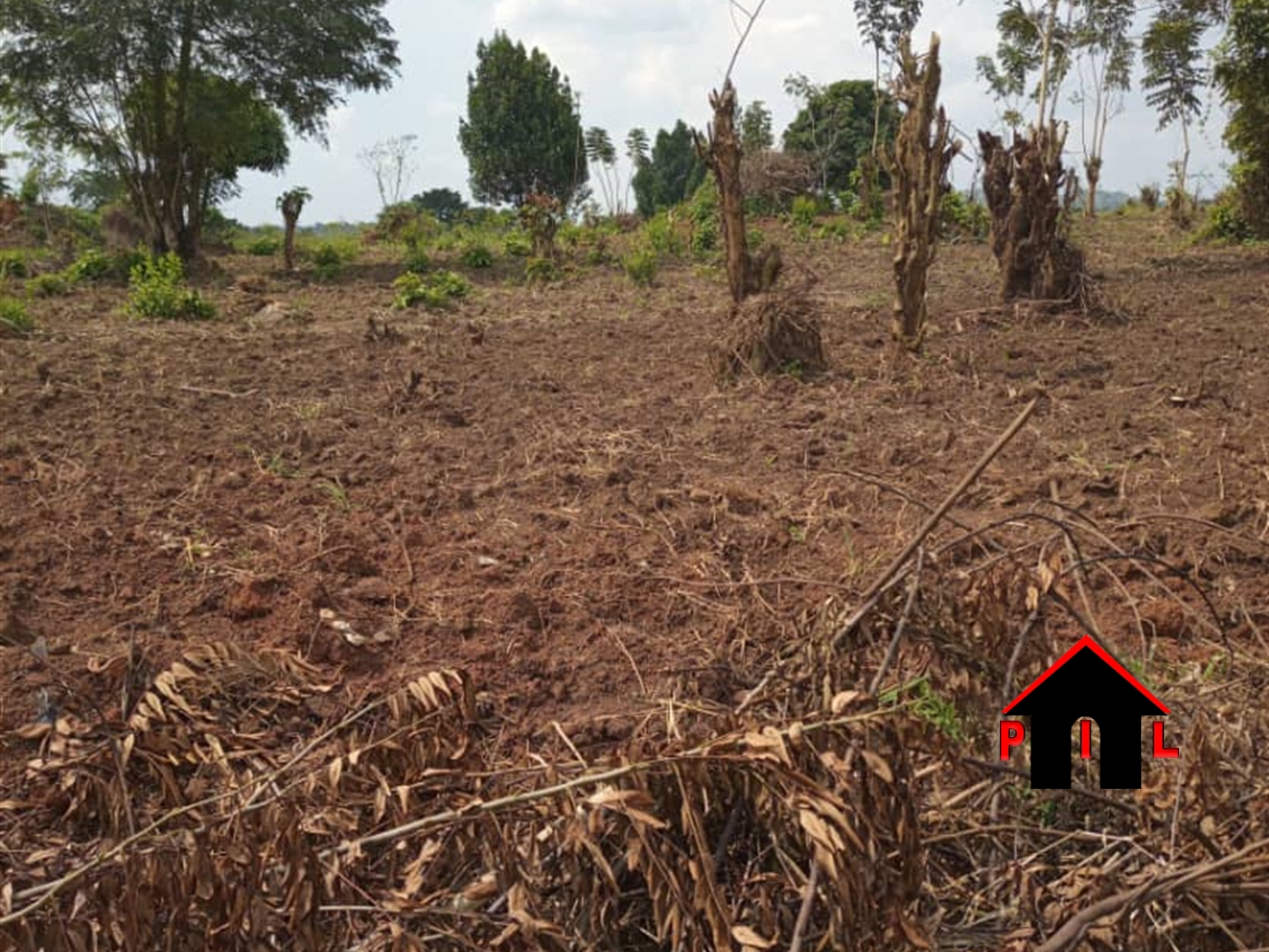 Agricultural Land for sale in Kapeeka Nakaseke