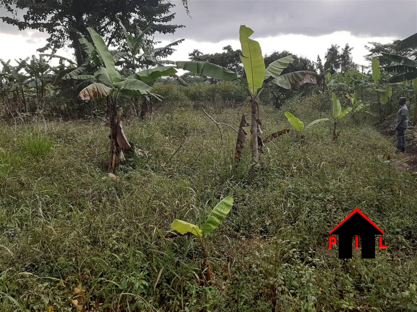 Residential Land for sale in Busiika Wakiso