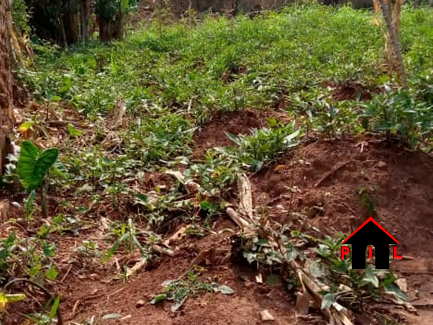 Residential Land for sale in Kisaasi Kampala