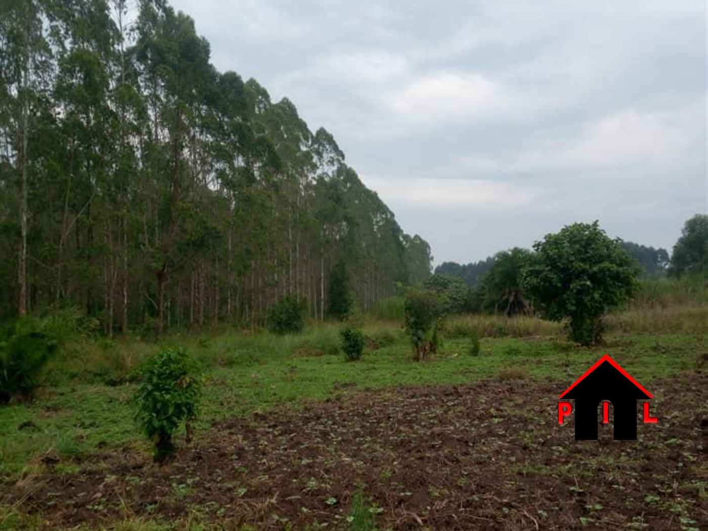 Agricultural Land for sale in Kassanda Butambala