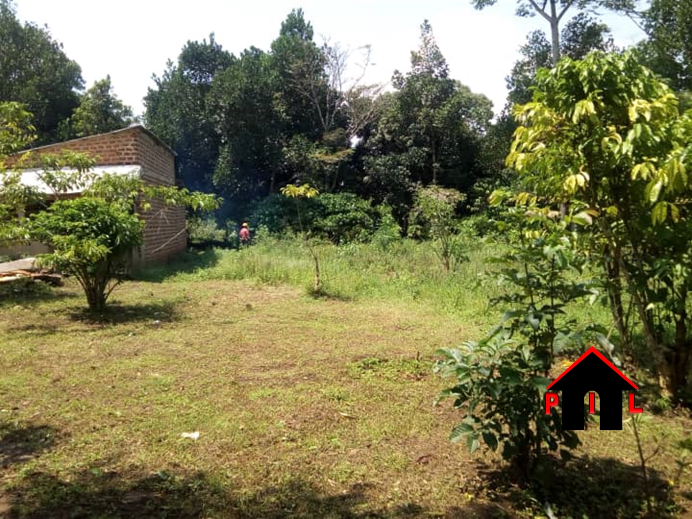 Agricultural Land for sale in Kasawo Mukono