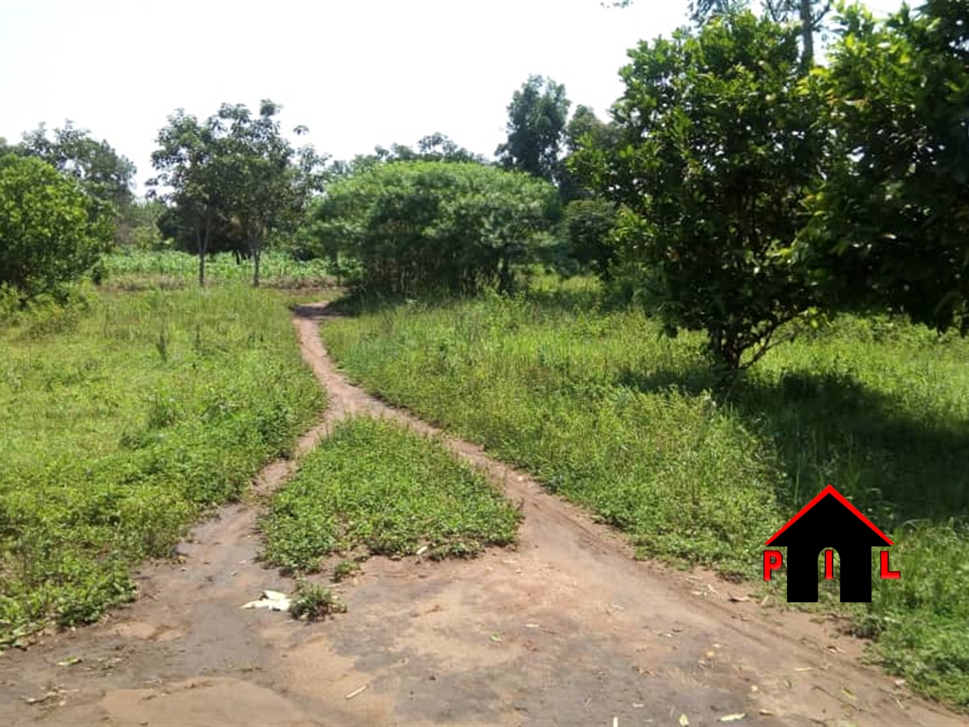 Agricultural Land for sale in Kasawo Mukono