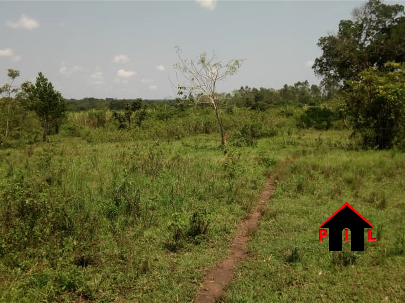 Agricultural Land for sale in Kasawo Mukono