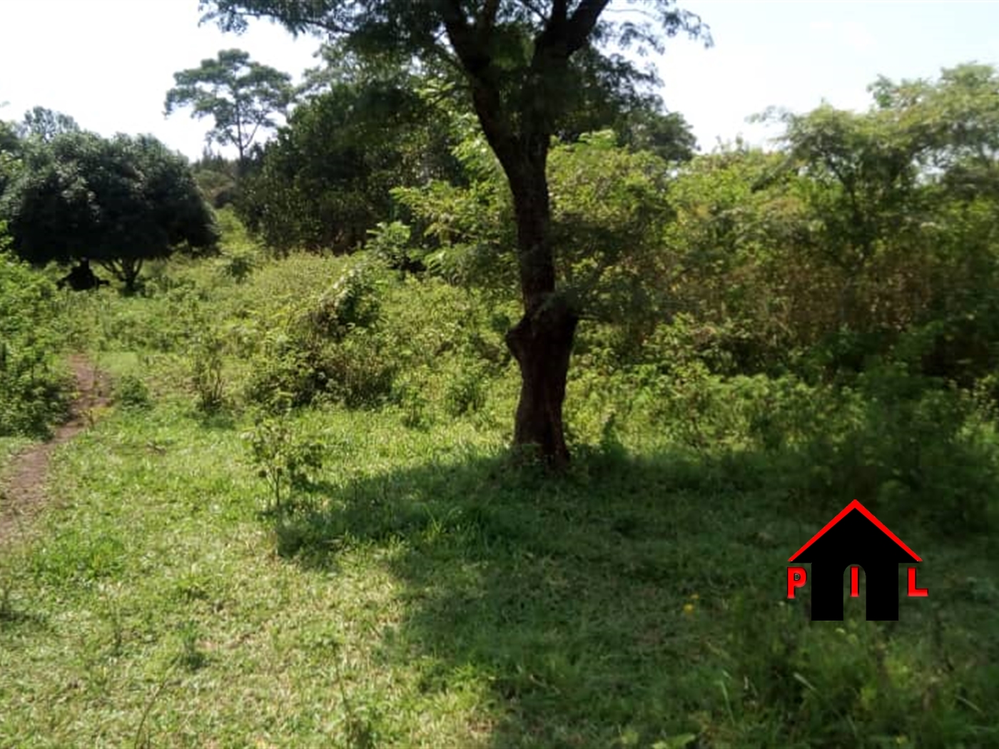 Agricultural Land for sale in Kasawo Mukono