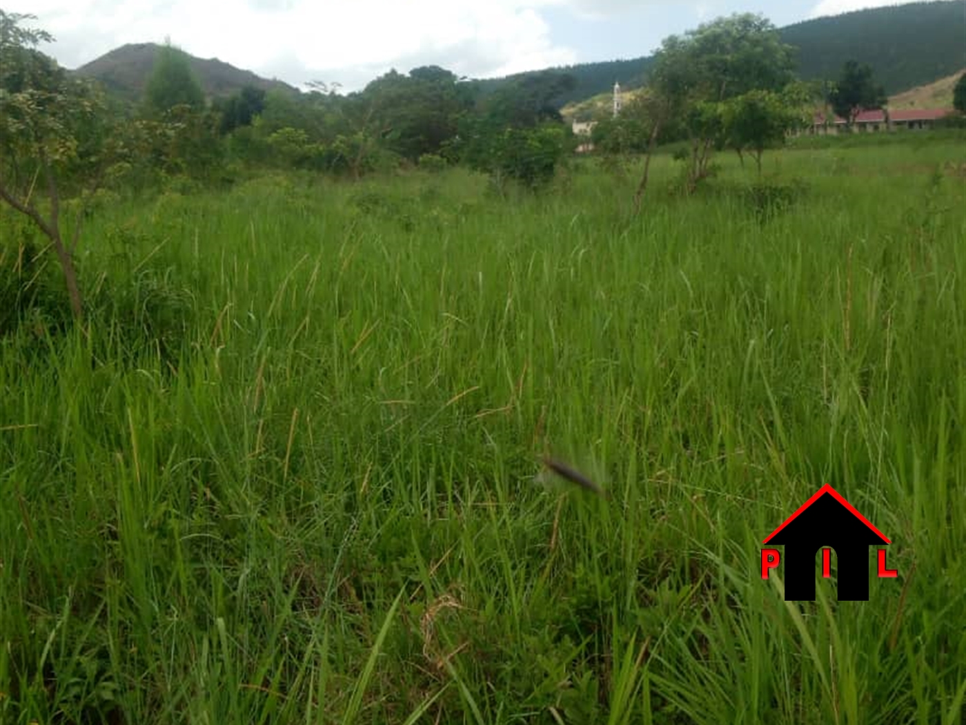 Agricultural Land for sale in Lwamata Kiboga