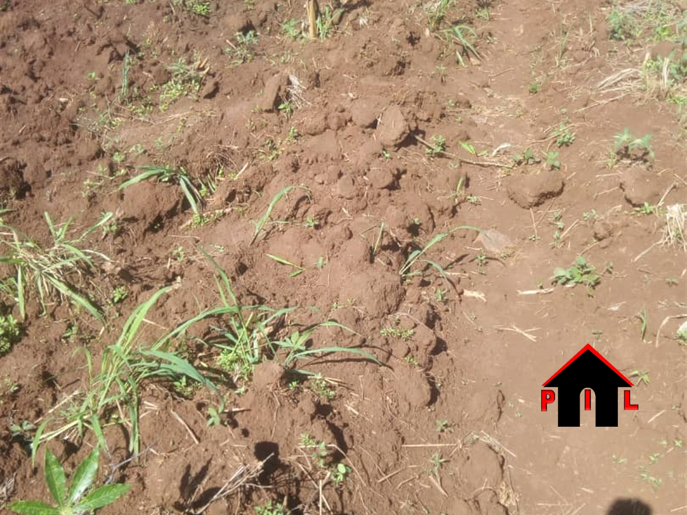 Agricultural Land for sale in Lwamata Kiboga