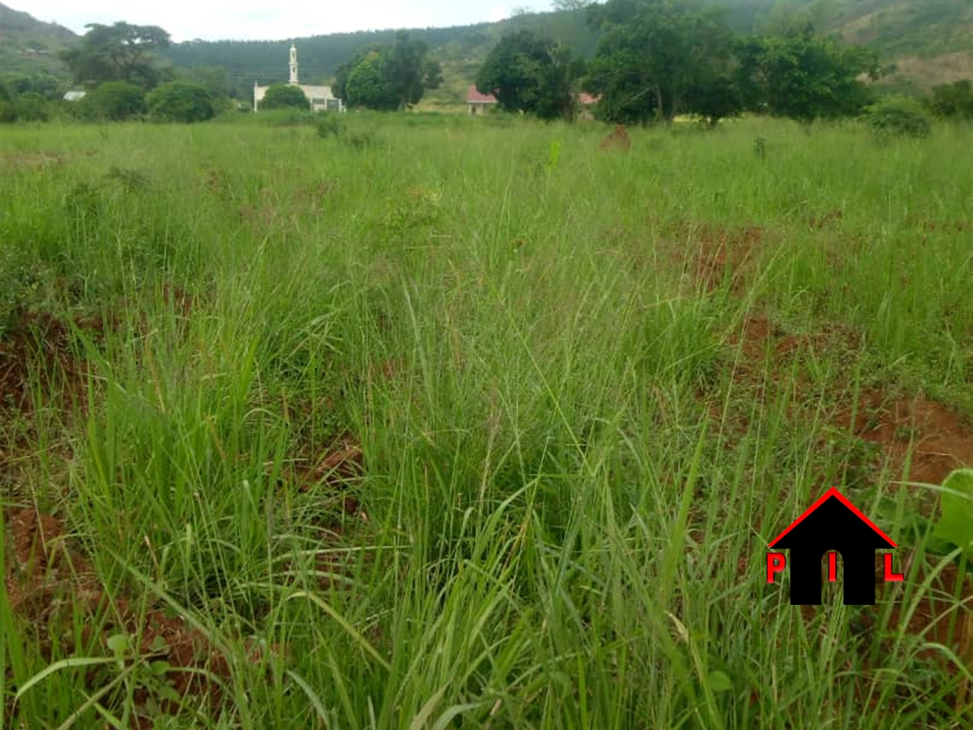 Agricultural Land for sale in Lwamata Kiboga