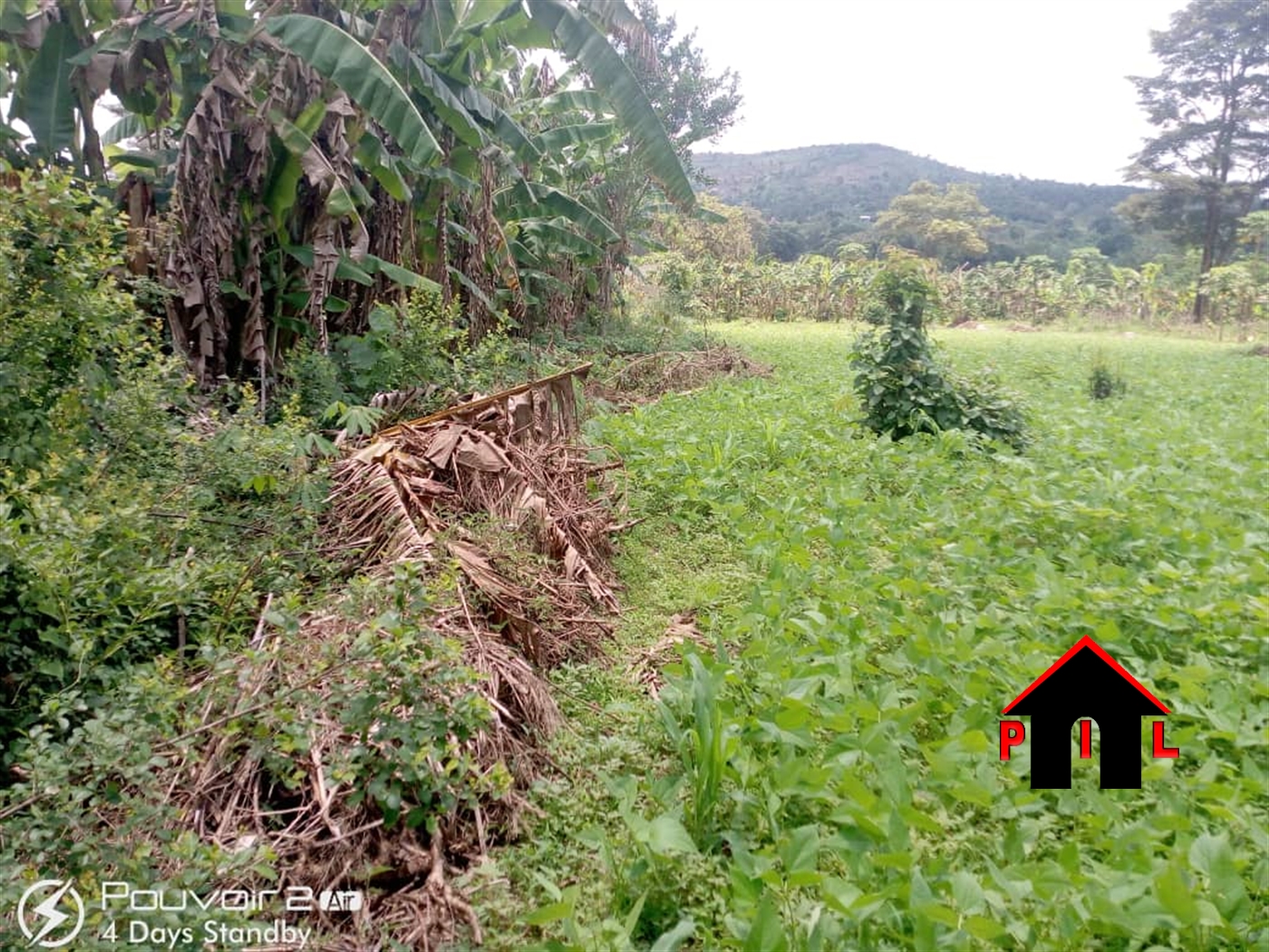 Agricultural Land for sale in Kanyanda Luweero