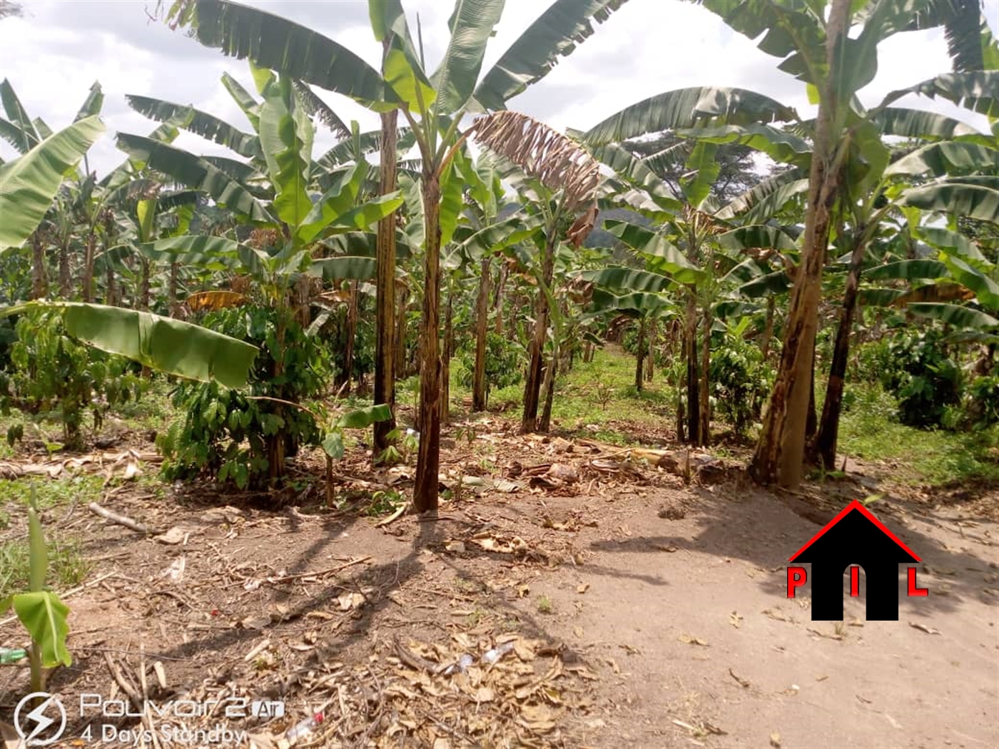 Agricultural Land for sale in Kanyanda Luweero