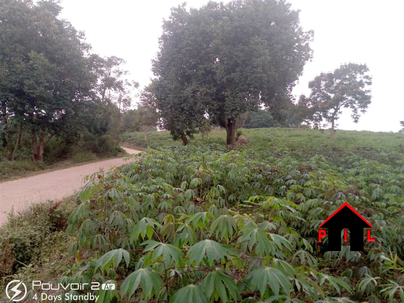 Agricultural Land for sale in Ndejje Luwero