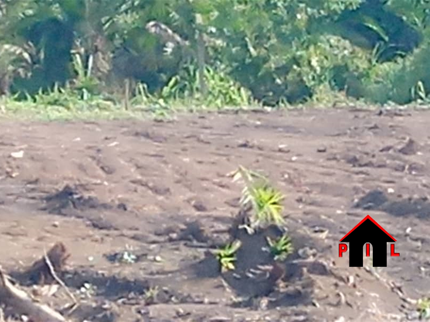 Residential Land for sale in Kira Wakiso