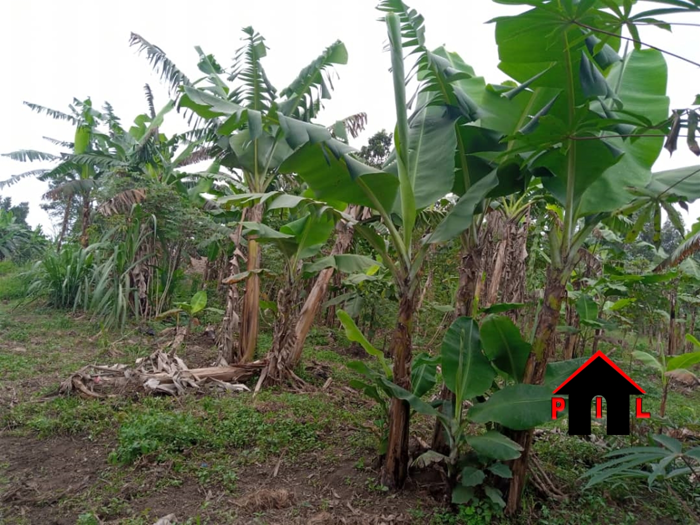 Residential Land for sale in Gombe Wakiso