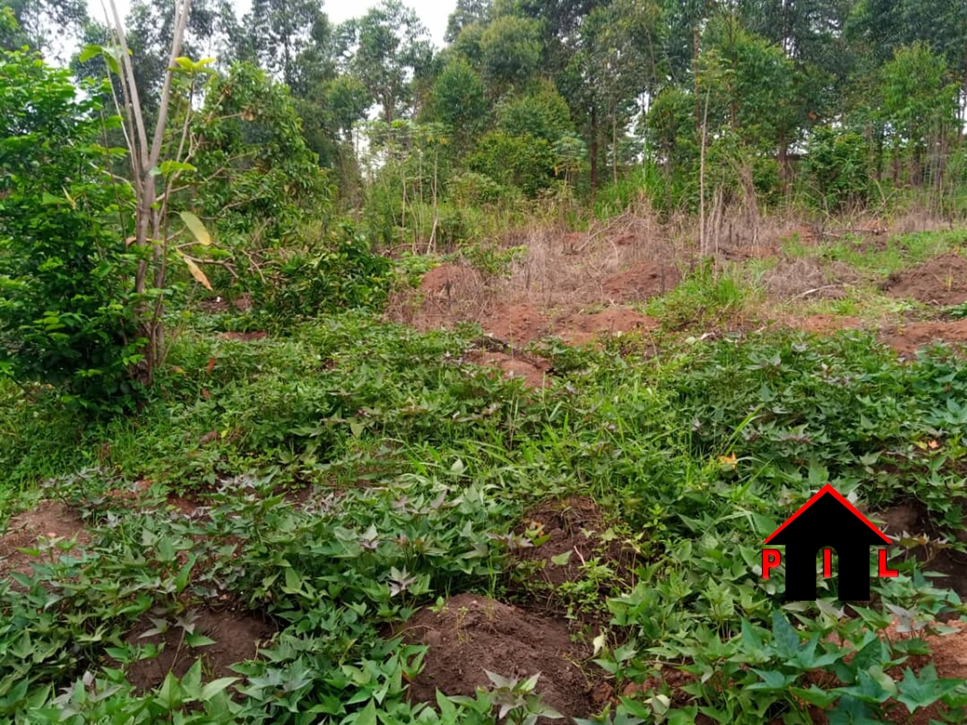 Residential Land for sale in Gombe Wakiso