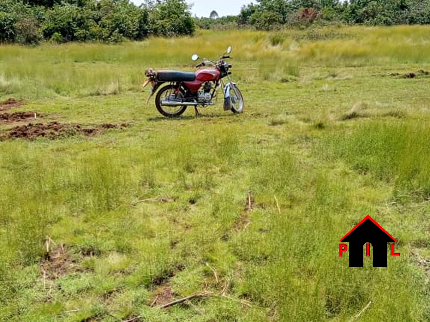 Agricultural Land for sale in Senyi Buyikwe