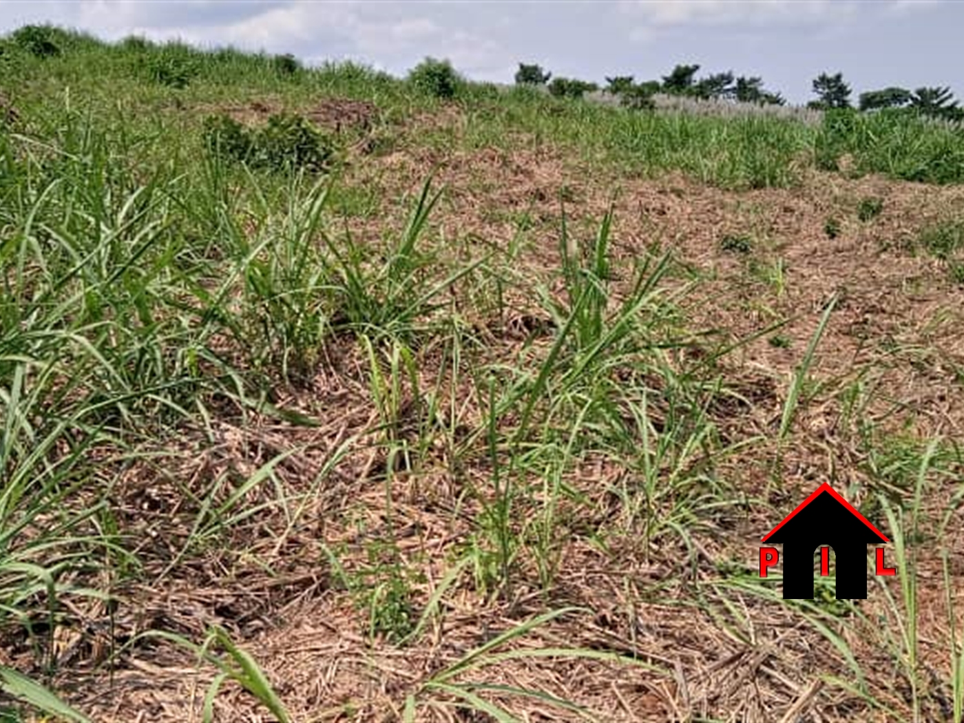 Agricultural Land for sale in Senyi Buyikwe