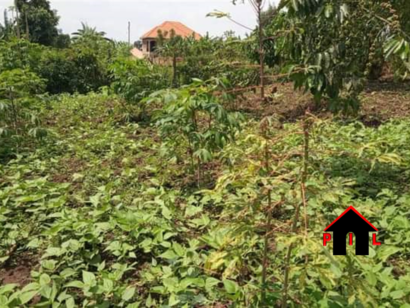 Residential Land for sale in Bwelenga Wakiso