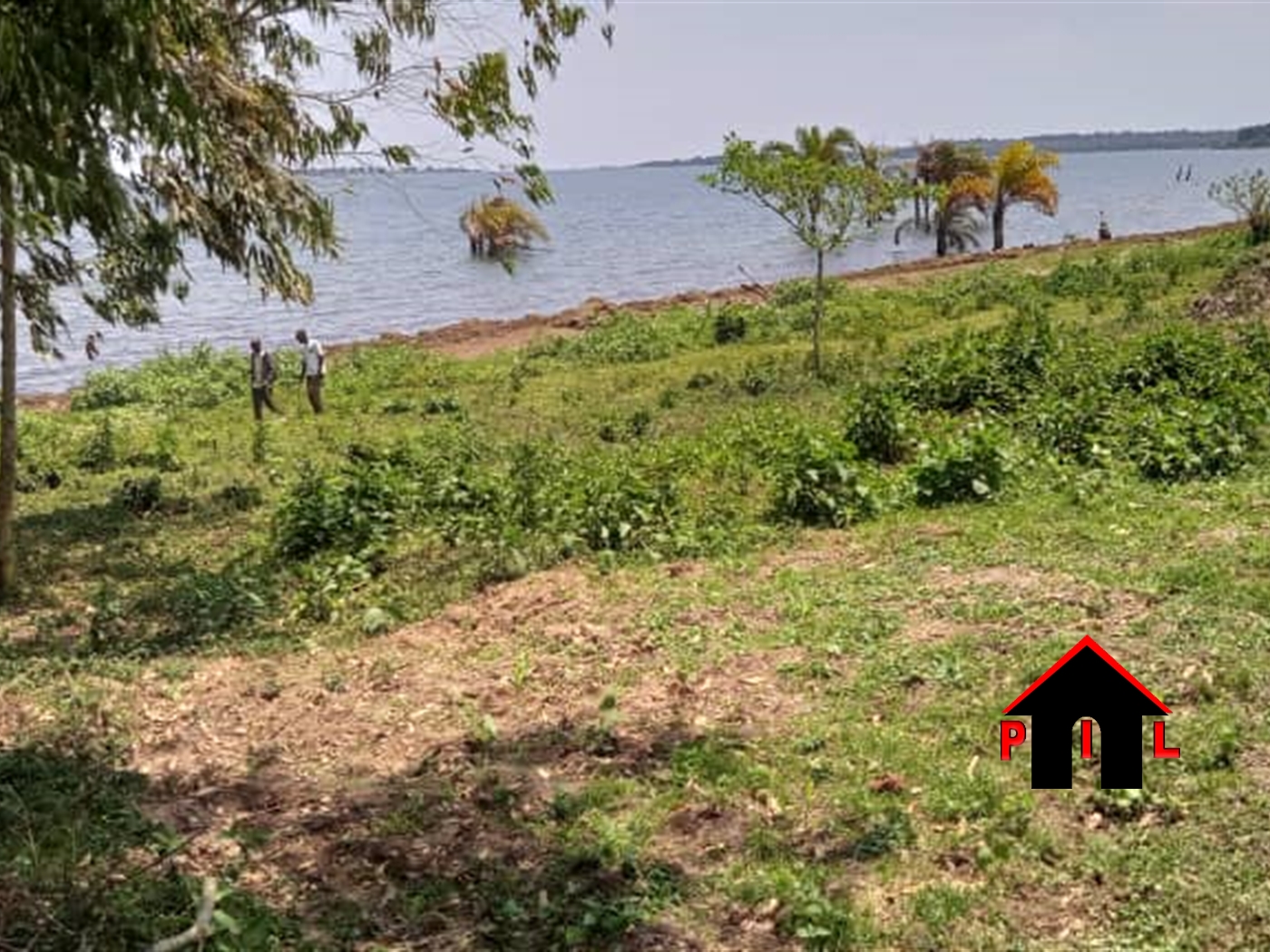 Agricultural Land for sale in Kisoga Mukono