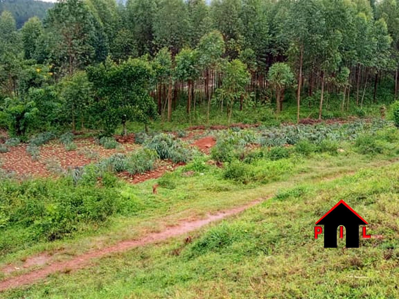 Residential Land for sale in Kololo Kampala