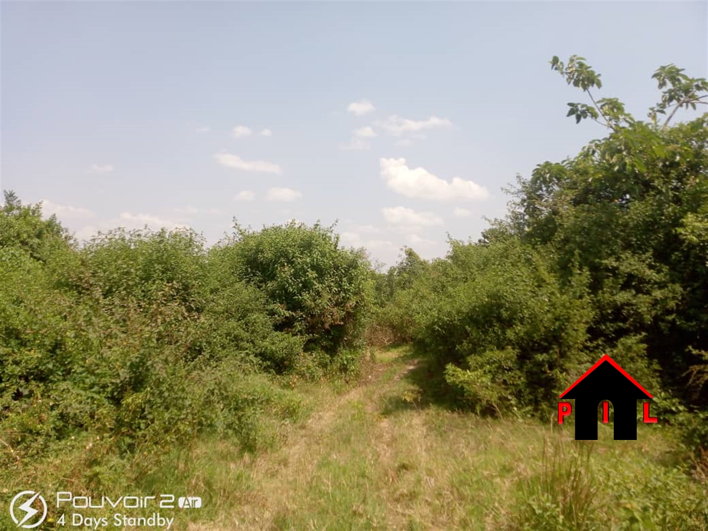 Agricultural Land for sale in Nsabwe Mukono