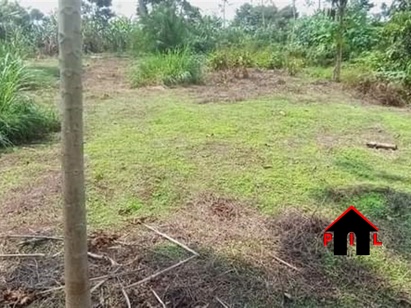 Agricultural Land for sale in Kisoga Mukono