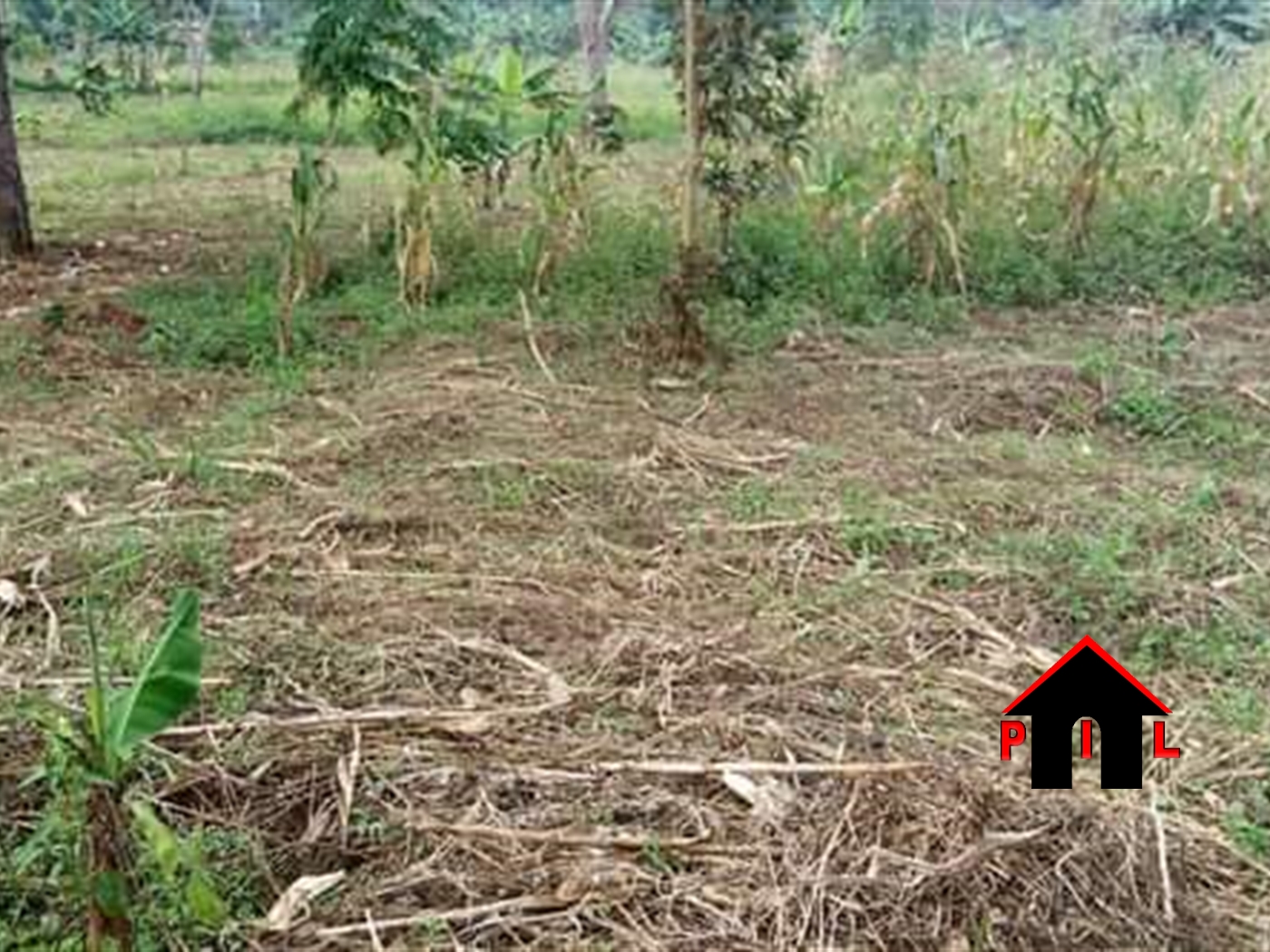 Agricultural Land for sale in Kisoga Mukono