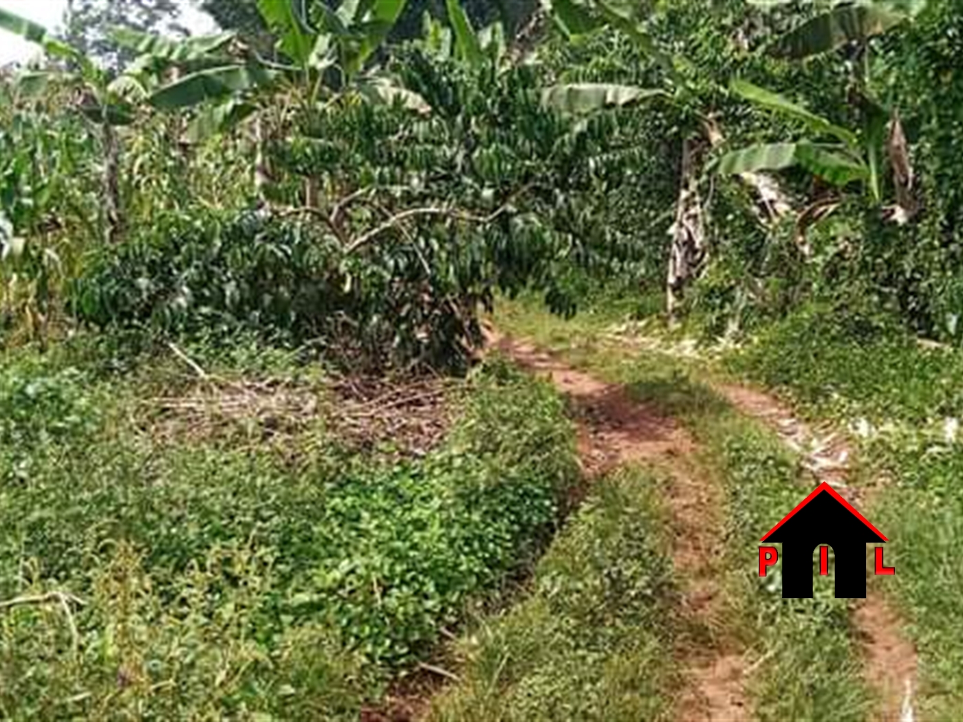 Agricultural Land for sale in Kisoga Mukono