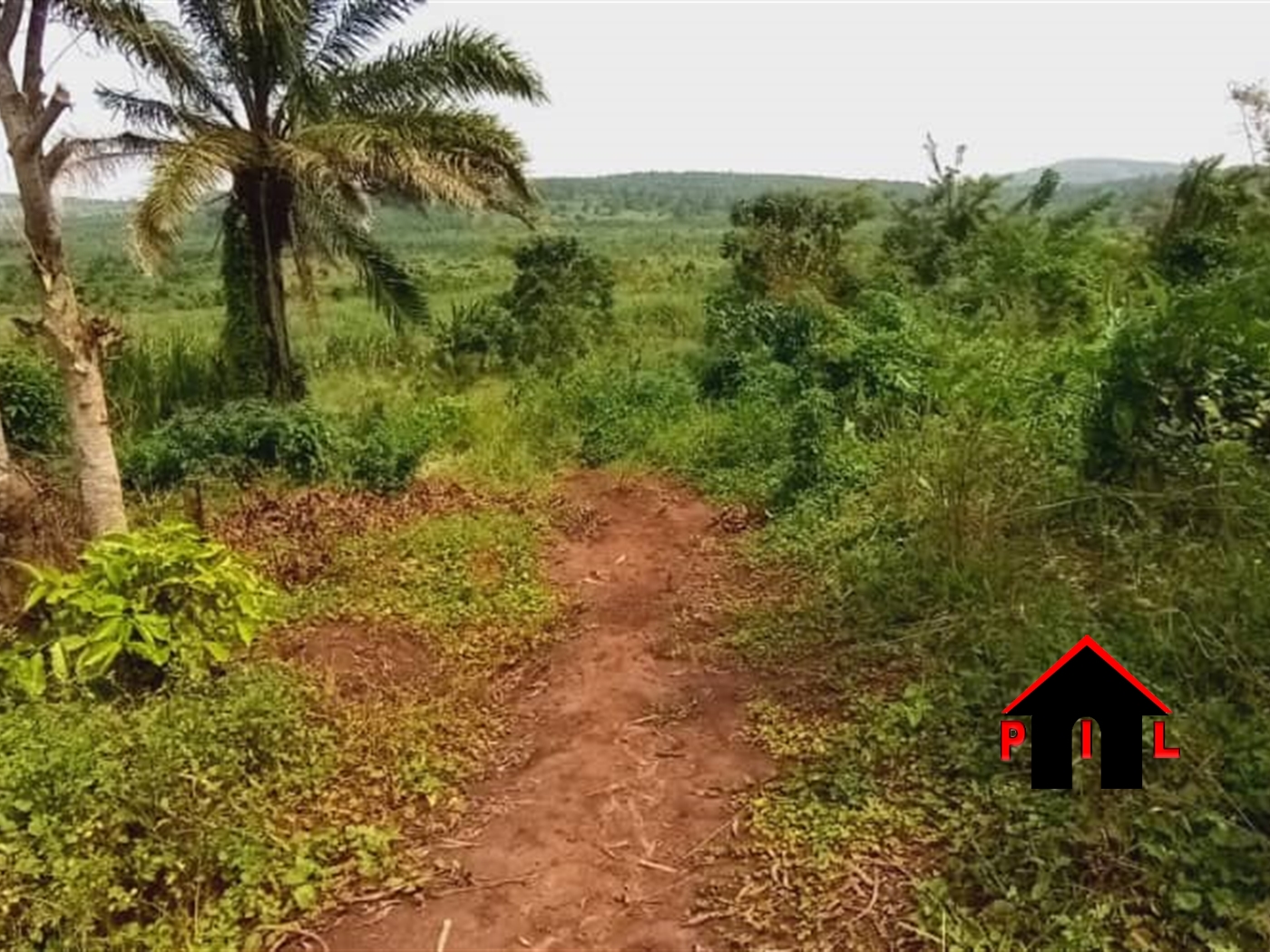 Agricultural Land for sale in Kisoga Mukono