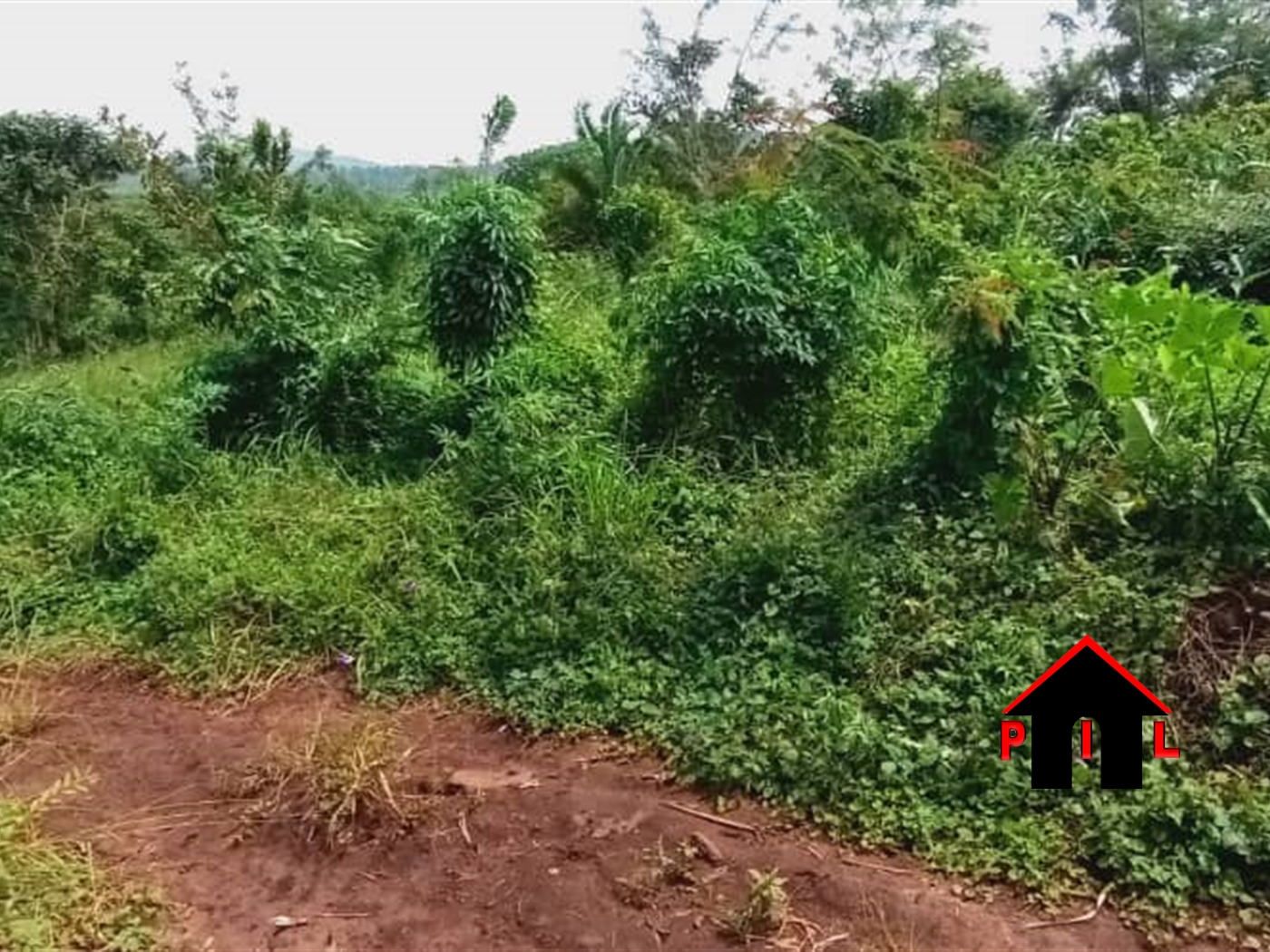 Agricultural Land for sale in Kisoga Mukono