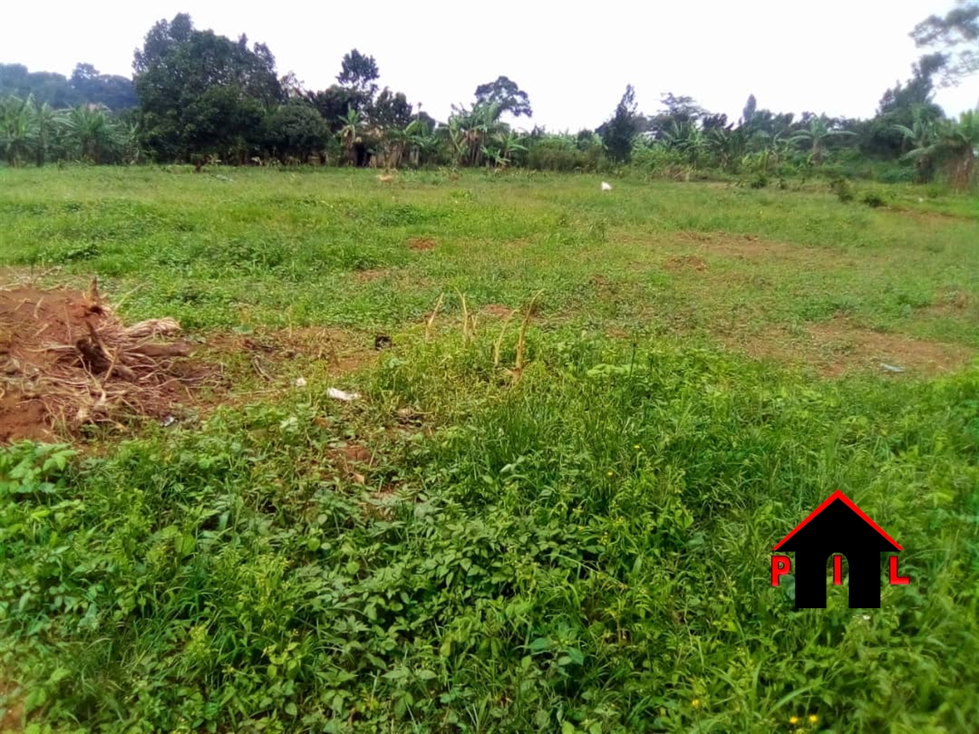 Residential Land for sale in Bukeelele Mukono