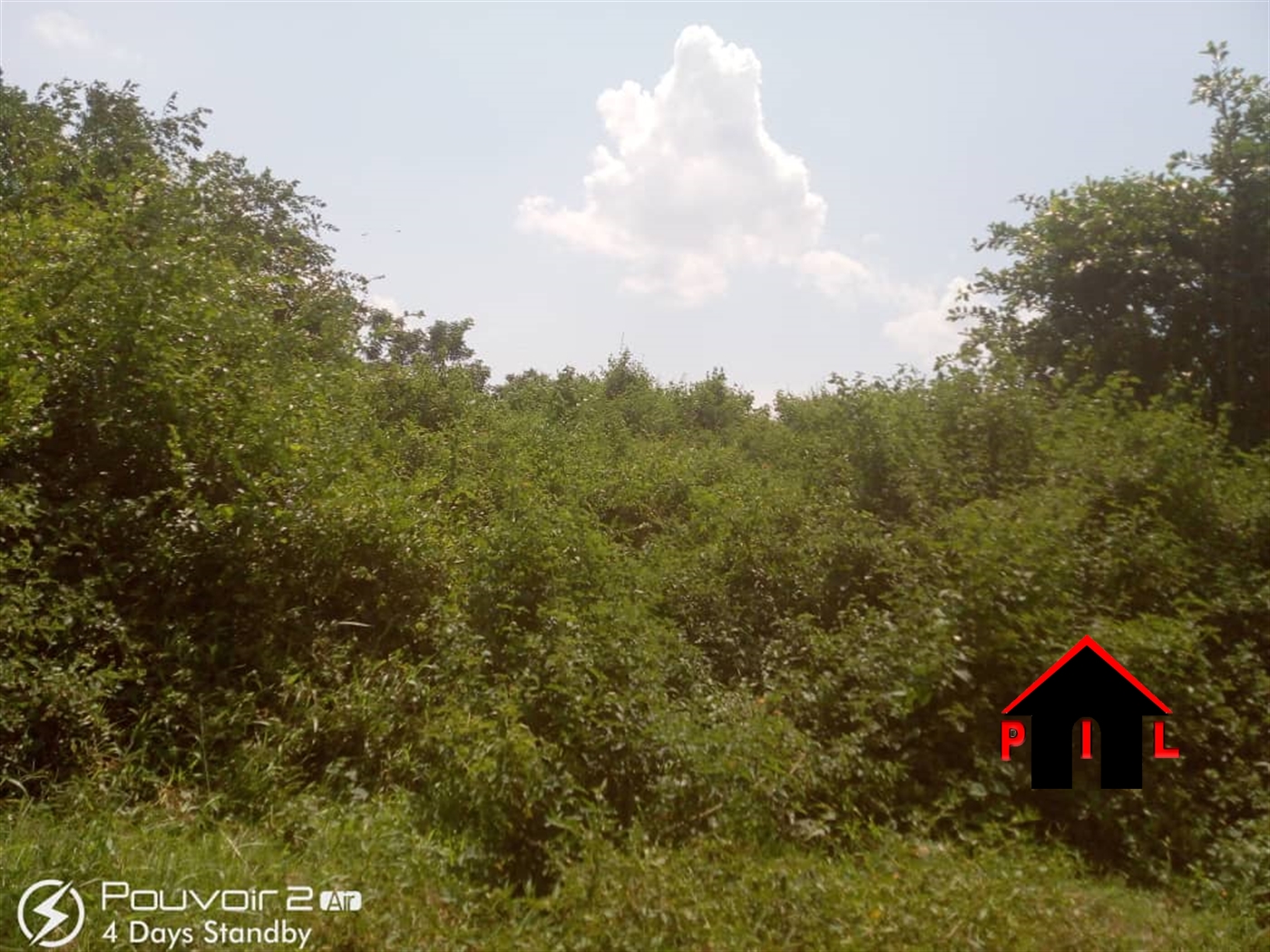 Agricultural Land for sale in Nakisunga Mukono