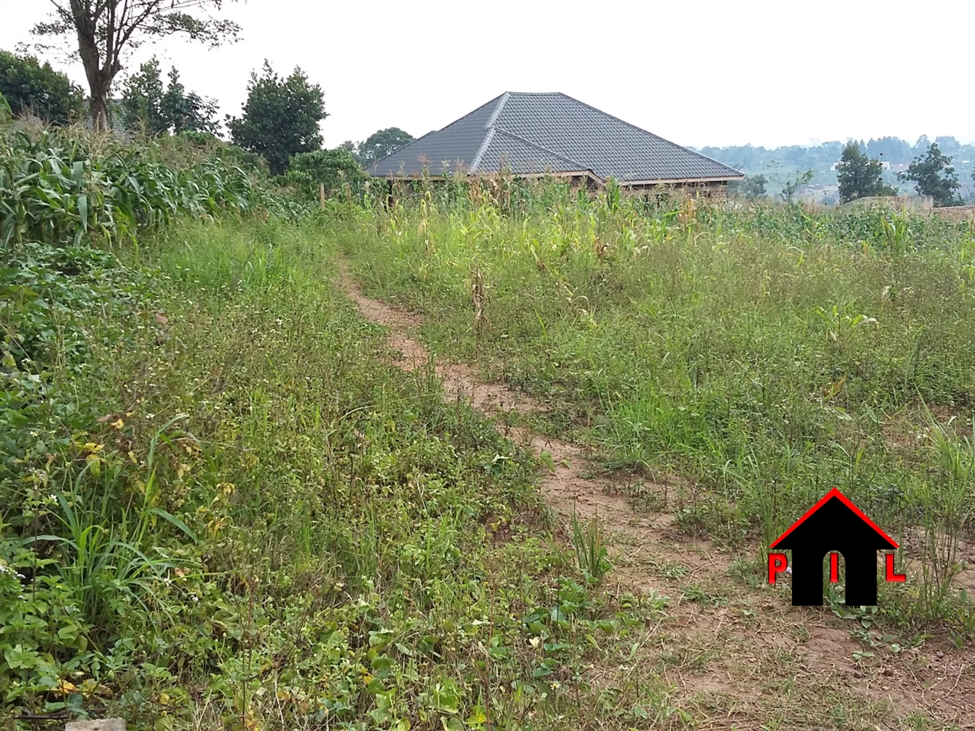 Agricultural Land for sale in Katuugo Luweero