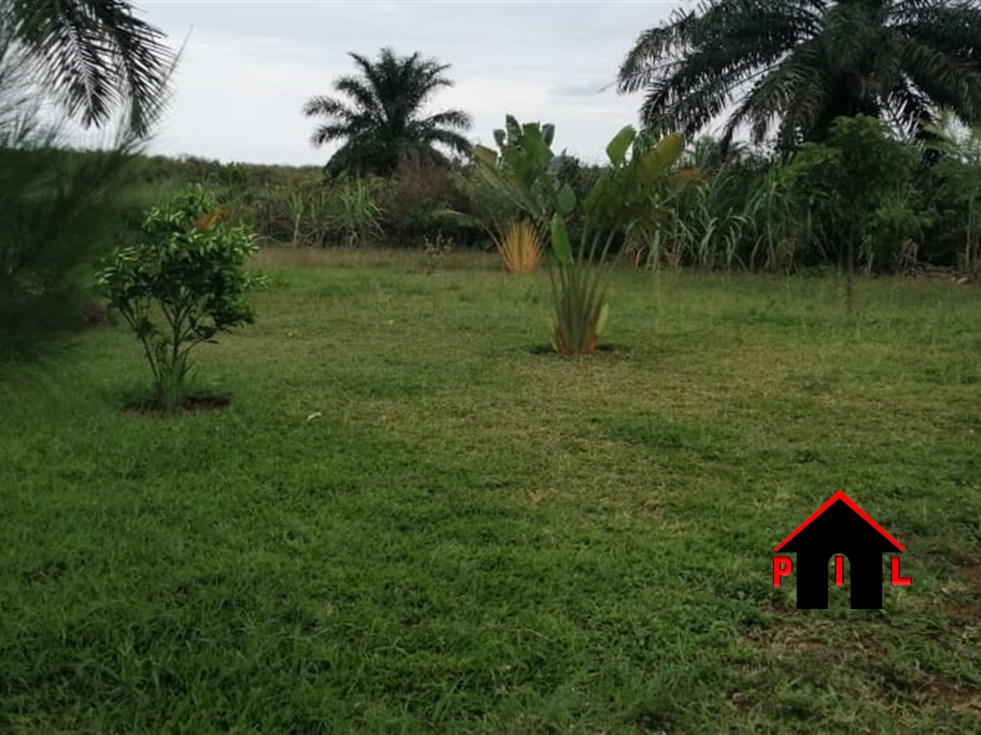 Agricultural Land for sale in Garuga Wakiso